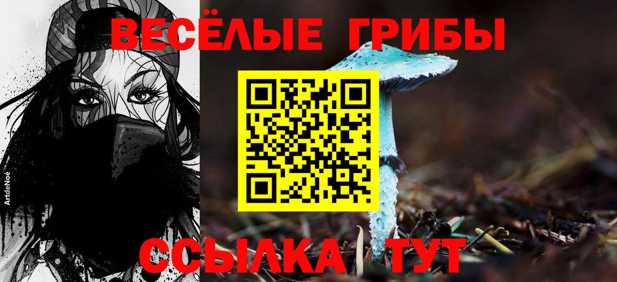Псилоцибиновые грибы MAGIC MUSHROOMS Урус-Мартан