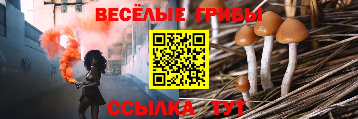 Галлюциногенные грибы MAGIC MUSHROOMS  Галлюциногенные грибы мухоморы  Урус-Мартан  Вход с VPN 