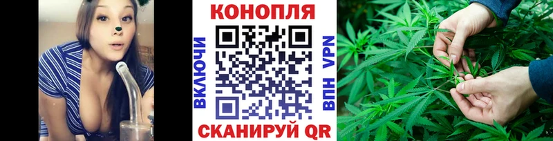 Конопля VHQ  Урус-Мартан 