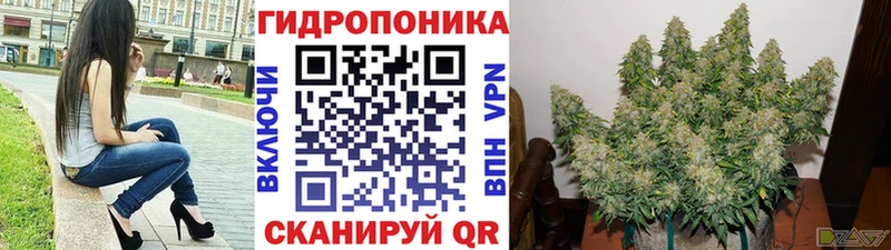 Бошки марихуана ГИДРОПОН Урус-Мартан